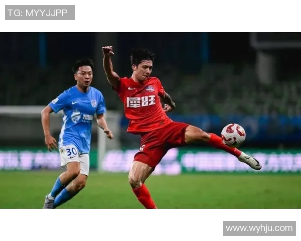 武汉三镇vs北京国安谭龙